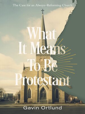 cover image of What It Means to Be Protestant